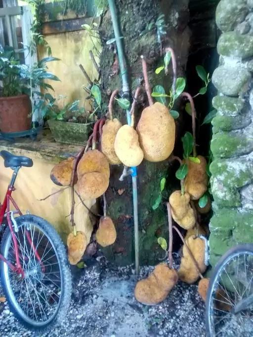 Casas 100M Da Praia Camburi  Zewnętrze zdjęcie